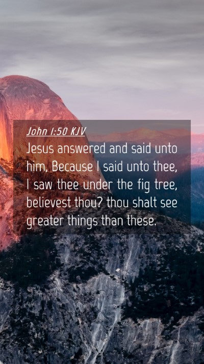 Picture 04 - John 1:50 KJV Mobile Phone Wallpaper - Jesus answered and said unto him, Because I said - Mobile Bible Verse Wallpaper