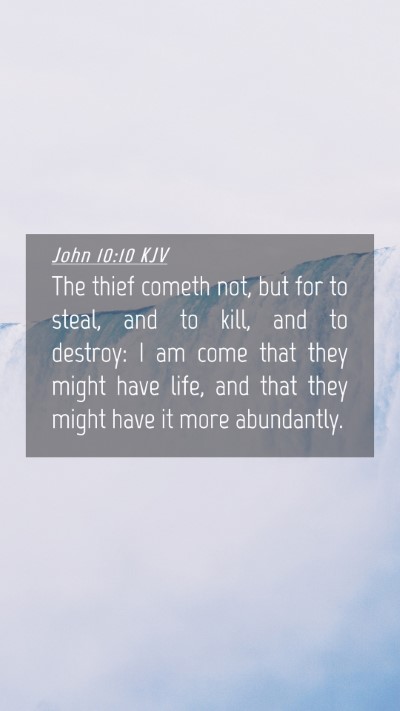 Picture 04 - John 10:10 KJV Mobile Phone Wallpaper - The thief cometh not, but for to steal, and to - Mobile Bible Verse Wallpaper
