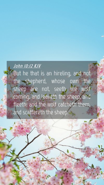 Picture 04 - John 10:12 KJV Mobile Phone Wallpaper - But he that is an hireling, and not the shepherd, - Mobile Bible Verse Wallpaper