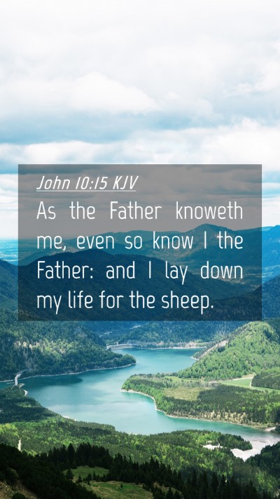 Picture 04 - John 10:15 KJV Mobile Phone Wallpaper - As the Father knoweth me, even so know I the - Mobile Bible Verse Wallpaper