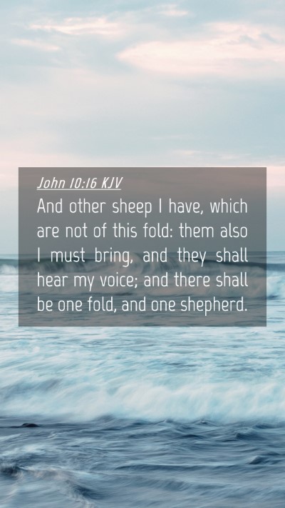 Picture 04 - John 10:16 KJV Mobile Phone Wallpaper - And other sheep I have, which are not of this - Mobile Bible Verse Wallpaper