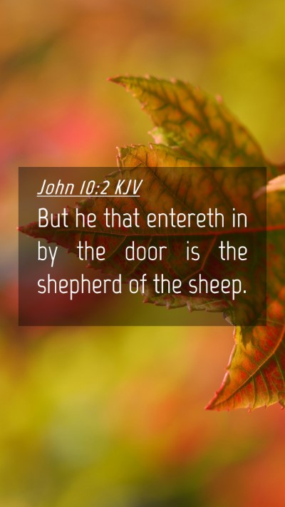 Picture 04 - John 10:2 KJV Mobile Phone Wallpaper - But he that entereth in by the door is the - Mobile Bible Verse Wallpaper