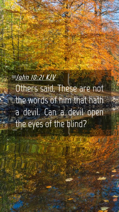 Picture 04 - John 10:21 KJV Mobile Phone Wallpaper - Others said, These are not the words of him that - Mobile Bible Verse Wallpaper