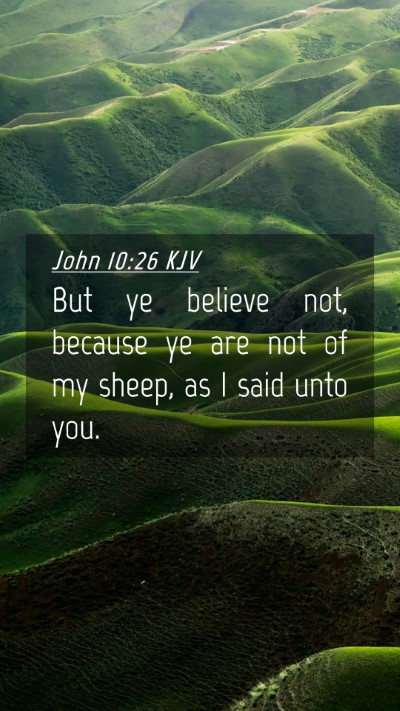 Picture 04 - John 10:26 KJV Mobile Phone Wallpaper - But ye believe not, because ye are not of my - Mobile Bible Verse Wallpaper