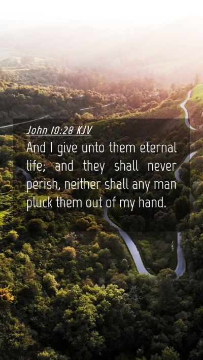 Picture 04 - John 10:28 KJV Mobile Phone Wallpaper - And I give unto them eternal life; and they shall - Mobile Bible Verse Wallpaper
