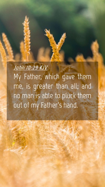 Picture 04 - John 10:29 KJV Mobile Phone Wallpaper - My Father, which gave them me, is greater than - Mobile Bible Verse Wallpaper