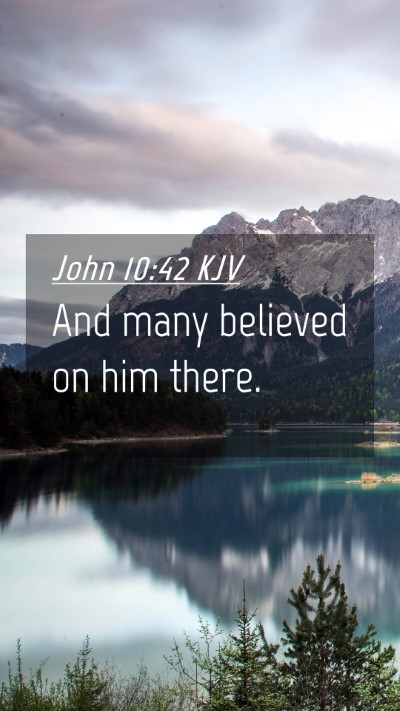 Picture 04 - John 10:42 KJV Mobile Phone Wallpaper - And many believed on him - Mobile Bible Verse Wallpaper