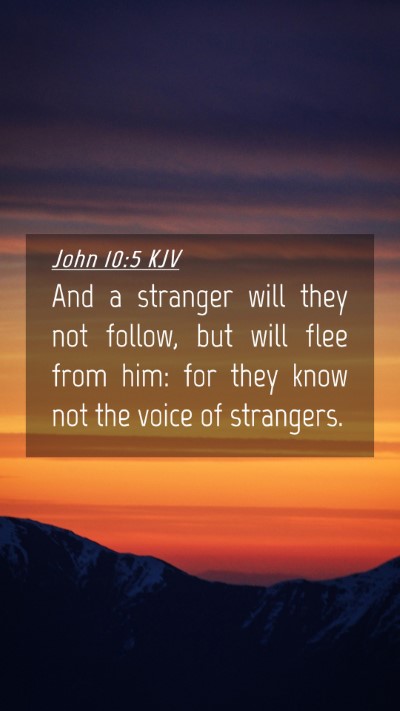 Picture 04 - John 10:5 KJV Mobile Phone Wallpaper - And a stranger will they not follow, but will - Mobile Bible Verse Wallpaper