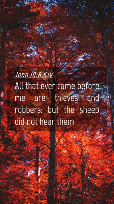 Picture 04 - John 10:8 KJV Mobile Phone Wallpaper - All that ever came before me are thieves and - Mobile Bible Verse Wallpaper