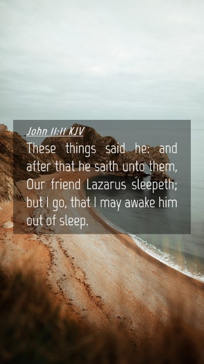 Picture 04 - John 11:11 KJV Mobile Phone Wallpaper - These things said he: and after that he saith - Mobile Bible Verse Wallpaper
