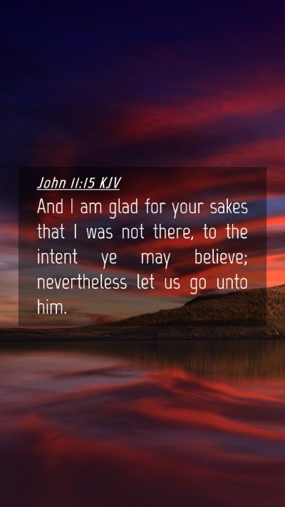 Picture 04 - John 11:15 KJV Mobile Phone Wallpaper - And I am glad for your sakes that I was not - Mobile Bible Verse Wallpaper