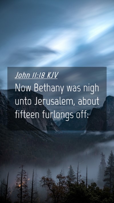 Picture 04 - John 11:18 KJV Mobile Phone Wallpaper - Now Bethany was nigh unto Jerusalem, about - Mobile Bible Verse Wallpaper