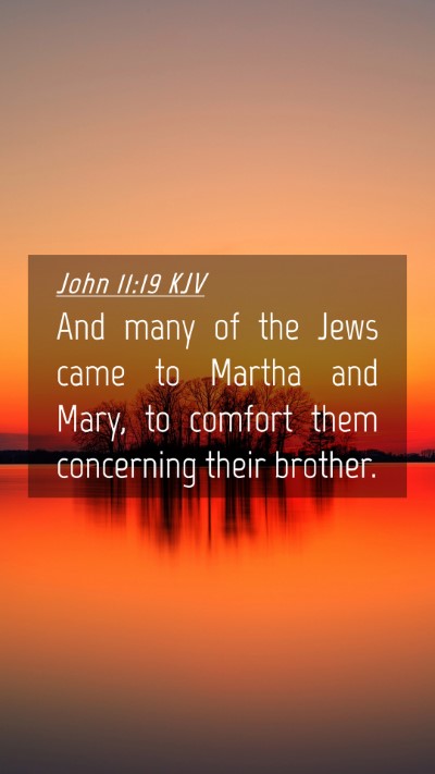 Picture 04 - John 11:19 KJV Mobile Phone Wallpaper - And many of the Jews came to Martha and Mary, to - Mobile Bible Verse Wallpaper