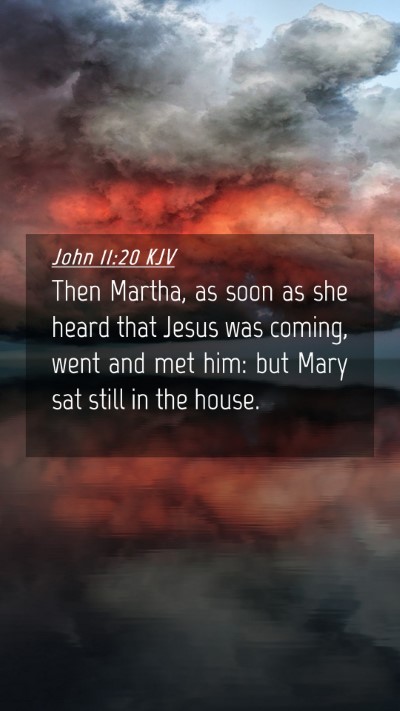 Picture 04 - John 11:20 KJV Mobile Phone Wallpaper - Then Martha, as soon as she heard that Jesus was - Mobile Bible Verse Wallpaper