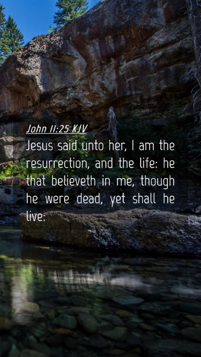Picture 04 - John 11:25 KJV Mobile Phone Wallpaper - Jesus said unto her, I am the resurrection, and - Mobile Bible Verse Wallpaper