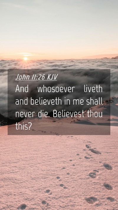 Picture 04 - John 11:26 KJV Mobile Phone Wallpaper - And whosoever liveth and believeth in me shall - Mobile Bible Verse Wallpaper