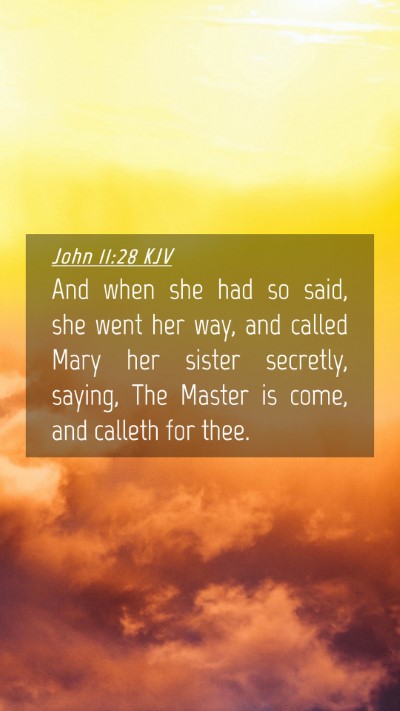 Picture 04 - John 11:28 KJV Mobile Phone Wallpaper - And when she had so said, she went her way, and - Mobile Bible Verse Wallpaper