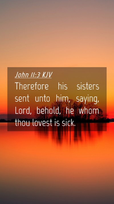 Picture 04 - John 11:3 KJV Mobile Phone Wallpaper - Therefore his sisters sent unto him, saying, - Mobile Bible Verse Wallpaper