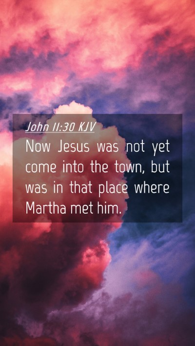 Picture 04 - John 11:30 KJV Mobile Phone Wallpaper - Now Jesus was not yet come into the town, but was - Mobile Bible Verse Wallpaper