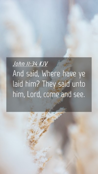 Picture 04 - John 11:34 KJV Mobile Phone Wallpaper - And said, Where have ye laid him? They said unto - Mobile Bible Verse Wallpaper