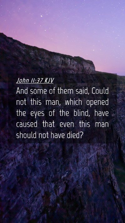 Picture 04 - John 11:37 KJV Mobile Phone Wallpaper - And some of them said, Could not this man, which - Mobile Bible Verse Wallpaper