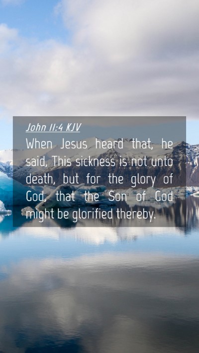 Picture 04 - John 11:4 KJV Mobile Phone Wallpaper - When Jesus heard that, he said, This sickness is - Mobile Bible Verse Wallpaper