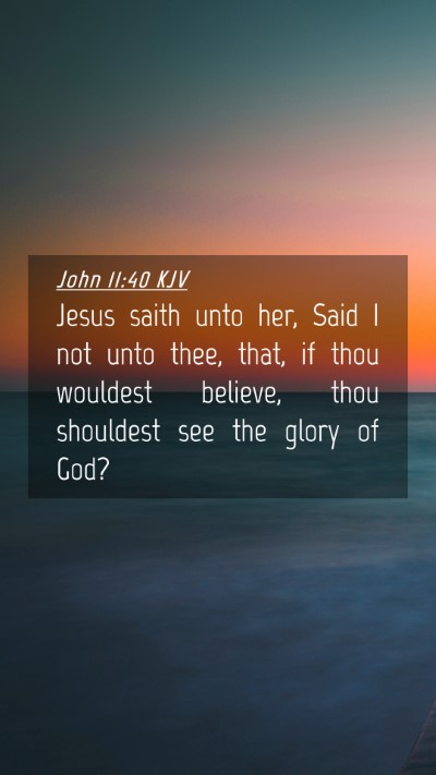 Picture 04 - John 11:40 KJV Mobile Phone Wallpaper - Jesus saith unto her, Said I not unto thee, that, - Mobile Bible Verse Wallpaper