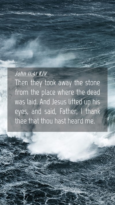 Picture 04 - John 11:41 KJV Mobile Phone Wallpaper - Then they took away the stone from the place - Mobile Bible Verse Wallpaper