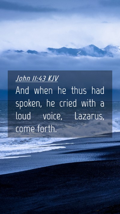 Picture 04 - John 11:43 KJV Mobile Phone Wallpaper - And when he thus had spoken, he cried with a loud - Mobile Bible Verse Wallpaper