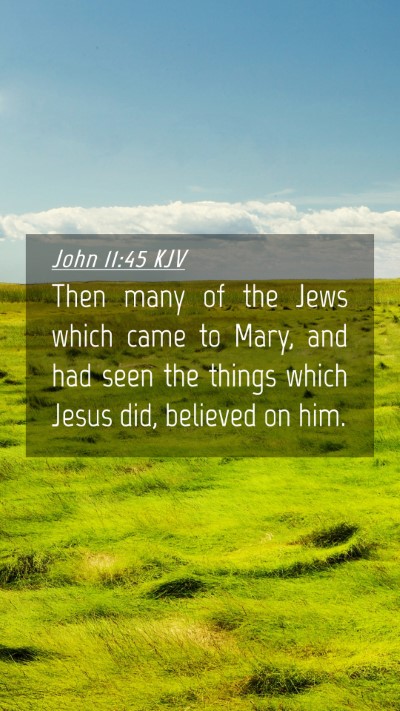 Picture 04 - John 11:45 KJV Mobile Phone Wallpaper - Then many of the Jews which came to Mary, and had - Mobile Bible Verse Wallpaper
