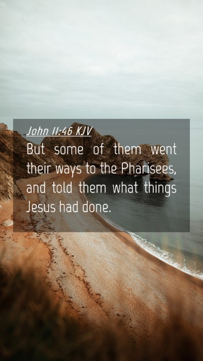 Picture 04 - John 11:46 KJV Mobile Phone Wallpaper - But some of them went their ways to the - Mobile Bible Verse Wallpaper