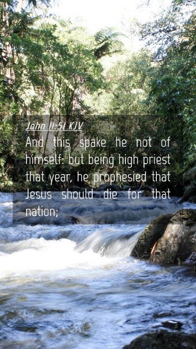 Picture 04 - John 11:51 KJV Mobile Phone Wallpaper - And this spake he not of himself: but being high - Mobile Bible Verse Wallpaper