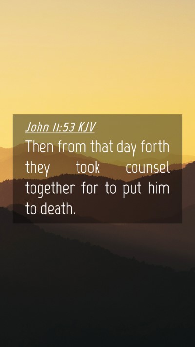 Picture 04 - John 11:53 KJV Mobile Phone Wallpaper - Then from that day forth they took counsel - Mobile Bible Verse Wallpaper