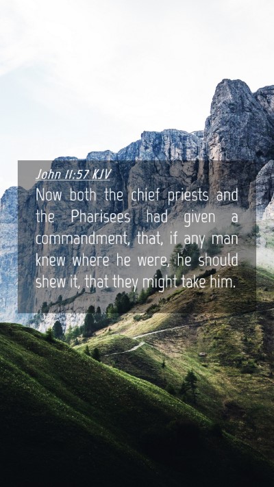 Picture 04 - John 11:57 KJV Mobile Phone Wallpaper - Now both the chief priests and the Pharisees had - Mobile Bible Verse Wallpaper