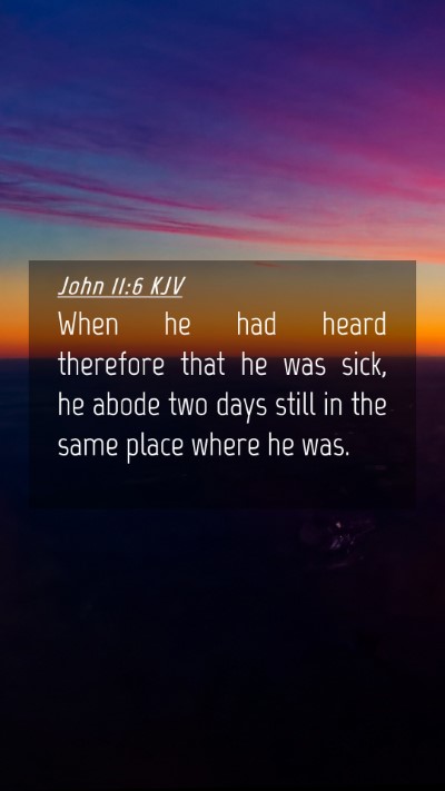 Picture 04 - John 11:6 KJV Mobile Phone Wallpaper - When he had heard therefore that he was sick, he - Mobile Bible Verse Wallpaper