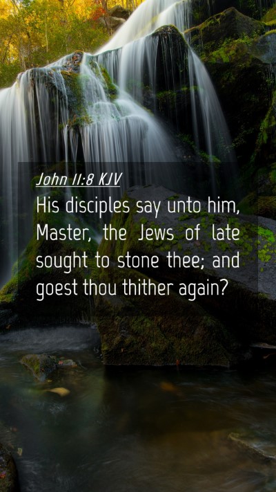 Picture 04 - John 11:8 KJV Mobile Phone Wallpaper - His disciples say unto him, Master, the Jews of - Mobile Bible Verse Wallpaper