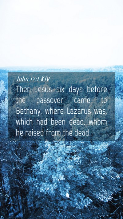 Picture 04 - John 12:1 KJV Mobile Phone Wallpaper - Then Jesus six days before the passover came to - Mobile Bible Verse Wallpaper