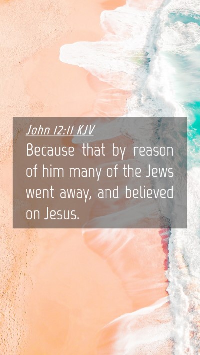 Picture 04 - John 12:11 KJV Mobile Phone Wallpaper - Because that by reason of him many of the Jews - Mobile Bible Verse Wallpaper