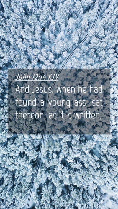 Picture 04 - John 12:14 KJV Mobile Phone Wallpaper - And Jesus, when he had found a young ass, sat - Mobile Bible Verse Wallpaper