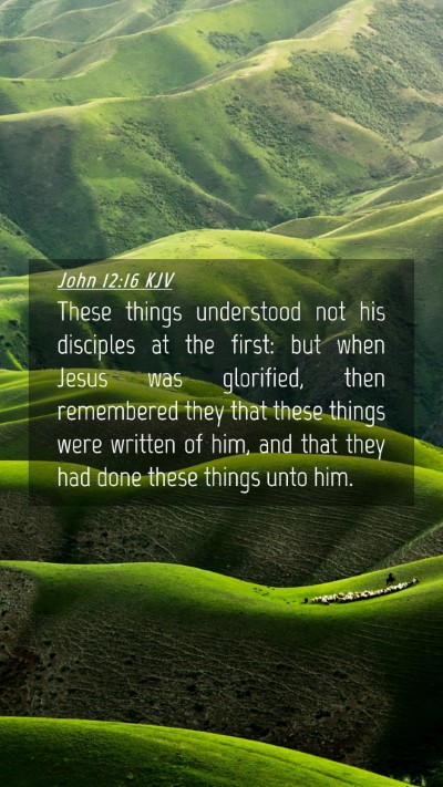 Picture 04 - John 12:16 KJV Mobile Phone Wallpaper - These things understood not his disciples at the - Mobile Bible Verse Wallpaper