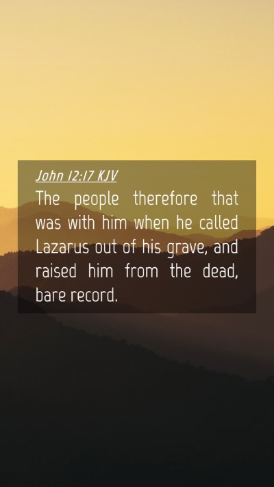 Picture 04 - John 12:17 KJV Mobile Phone Wallpaper - The people therefore that was with him when he - Mobile Bible Verse Wallpaper
