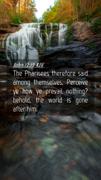 Picture 04 - John 12:19 KJV Mobile Phone Wallpaper - The Pharisees therefore said among themselves, - Mobile Bible Verse Wallpaper