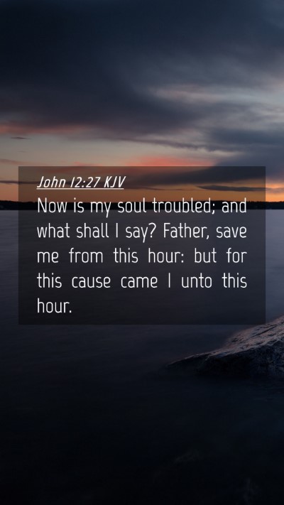 Picture 04 - John 12:27 KJV Mobile Phone Wallpaper - Now is my soul troubled; and what shall I say? - Mobile Bible Verse Wallpaper