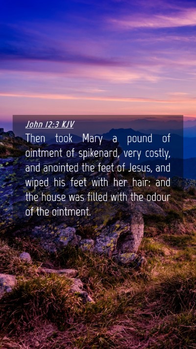Picture 04 - John 12:3 KJV Mobile Phone Wallpaper - Then took Mary a pound of ointment of spikenard, - Mobile Bible Verse Wallpaper