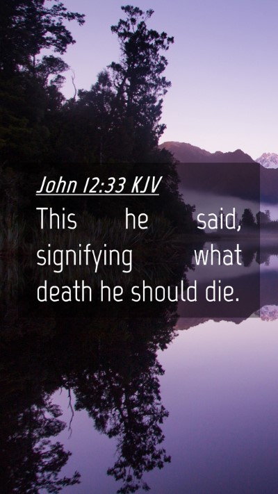 Picture 04 - John 12:33 KJV Mobile Phone Wallpaper - This he said, signifying what death he should - Mobile Bible Verse Wallpaper