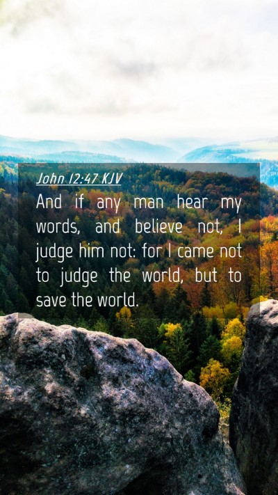 Picture 04 - John 12:47 KJV Mobile Phone Wallpaper - And if any man hear my words, and believe not, I - Mobile Bible Verse Wallpaper