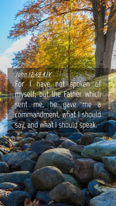 Picture 04 - John 12:49 KJV Mobile Phone Wallpaper - For I have not spoken of myself; but the Father - Mobile Bible Verse Wallpaper
