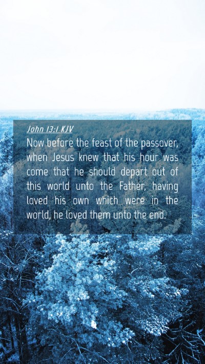 Picture 04 - John 13:1 KJV Mobile Phone Wallpaper - Now before the feast of the passover, when Jesus - Mobile Bible Verse Wallpaper