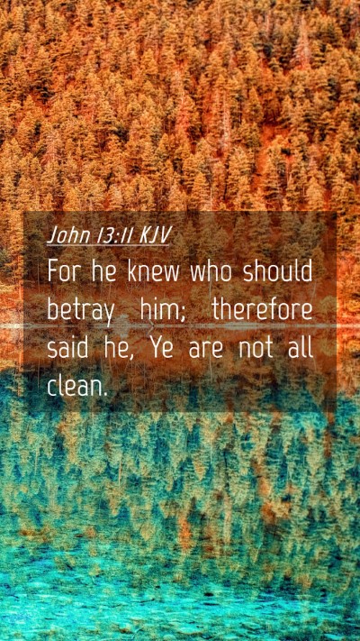 Picture 04 - John 13:11 KJV Mobile Phone Wallpaper - For he knew who should betray him; therefore said - Mobile Bible Verse Wallpaper