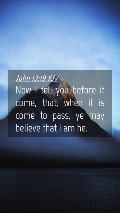 Picture 04 - John 13:19 KJV Mobile Phone Wallpaper - Now I tell you before it come, that, when it is - Mobile Bible Verse Wallpaper